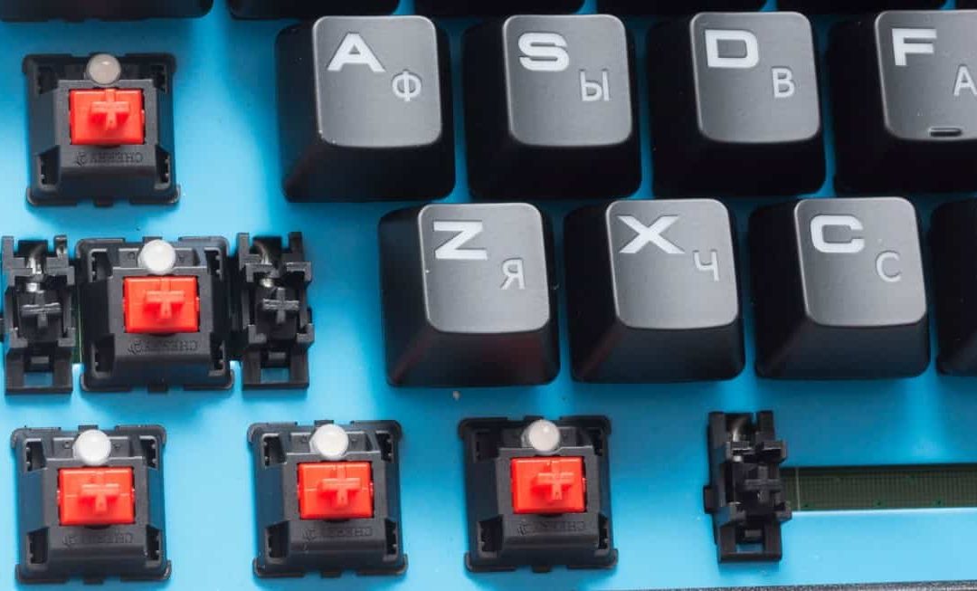 The Role of Plate-Mounted Switches in Mechanical Keyboards