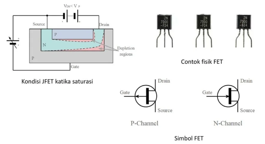 Field Effect Transistors+FET